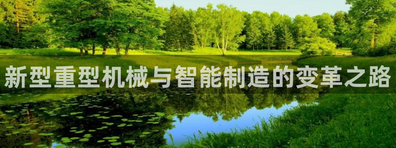 龙八国际优惠券