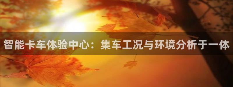龙八国际唯一官网