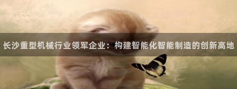 龙八国际赌场