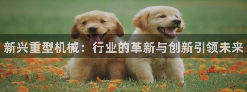 龙八国际在哪里啊