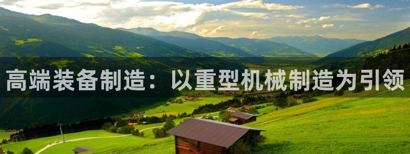 龙八国际老虎机