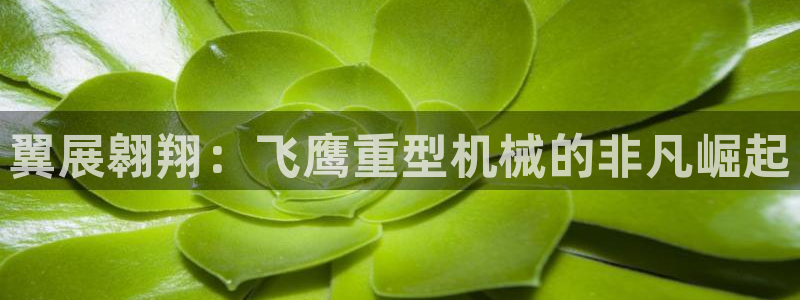 龙八国际头号玩家