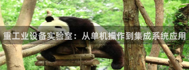 龙八国际平台yb48点top