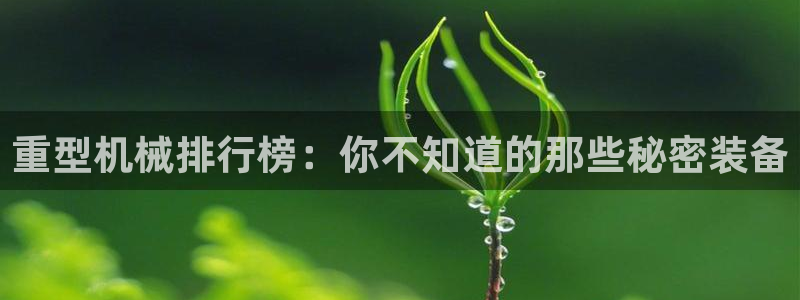 龙八国际娱 乐