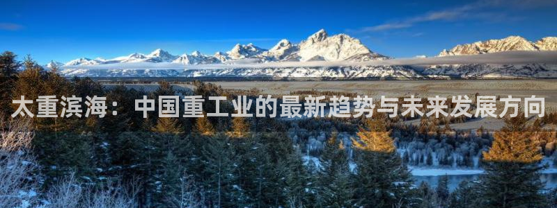 龙八国际有限责任公司