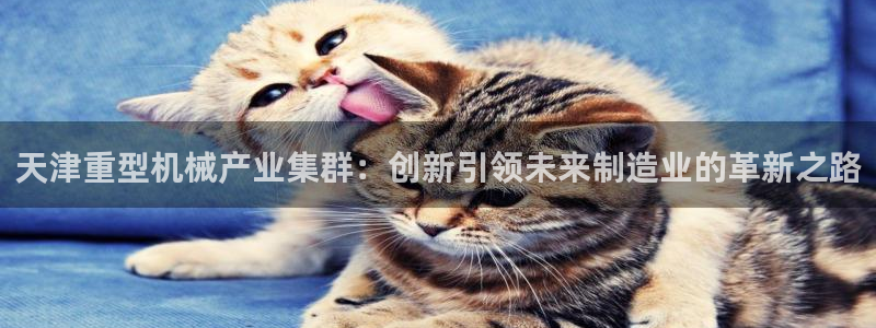龙八国际相仿平台