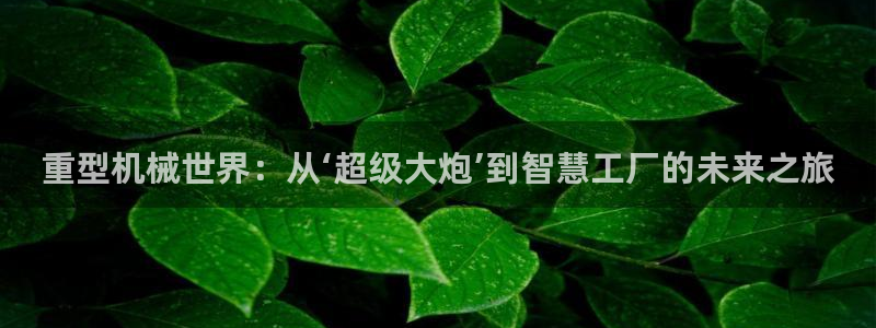 下载龙八国际手机版