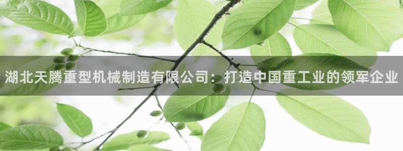 龙八国际下载链接一