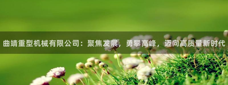龙八国际娱乐官方网址