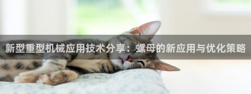龙八国际链接