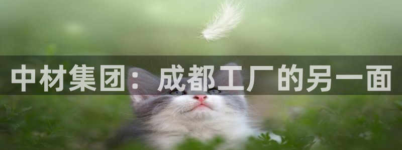 龙八国际手机客户端下载