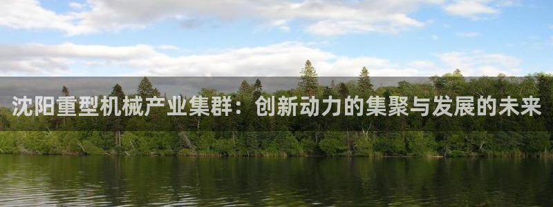 龙八国际视频入口