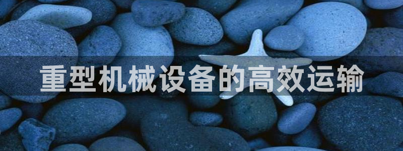 龙八国际娱乐老虎机