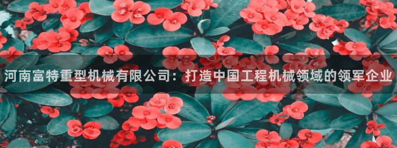 龙八国际提现待审核