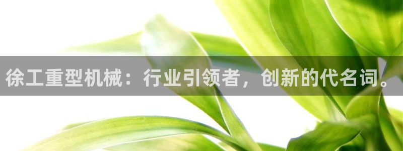 龙八国际app电话号码