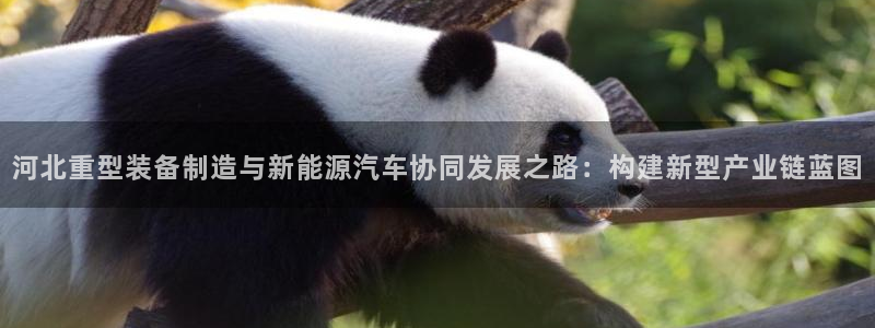 龙八国际官网下载安卓