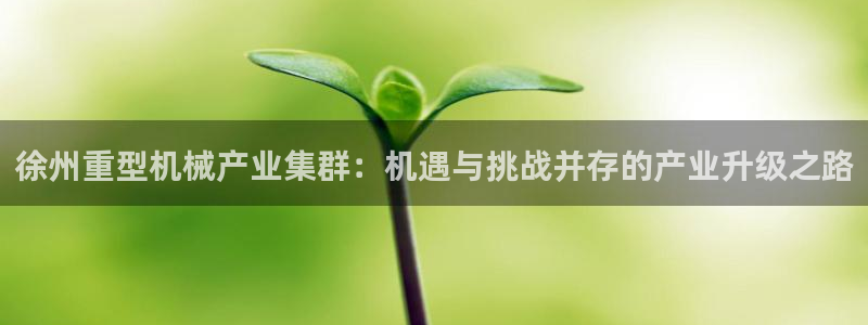 龙八国际娱乐pt老虎机