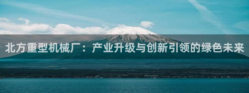 龙八国际88