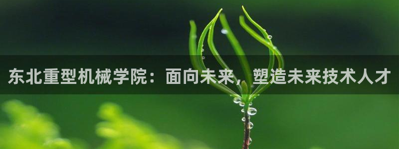 龙八国际版游戏