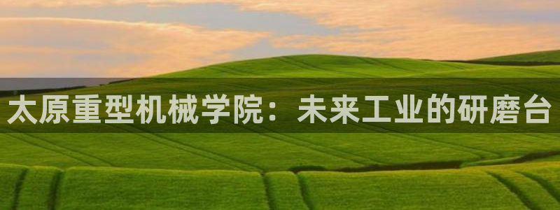 龙八国际合法