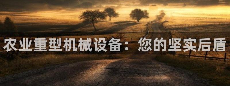 龙八国际备用地址