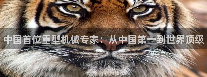 龙八国际怎么样