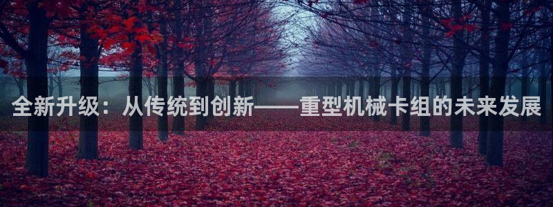 龙八国际官方网站手机版