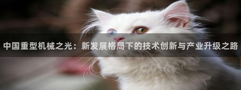 龙八国际娱乐二维码