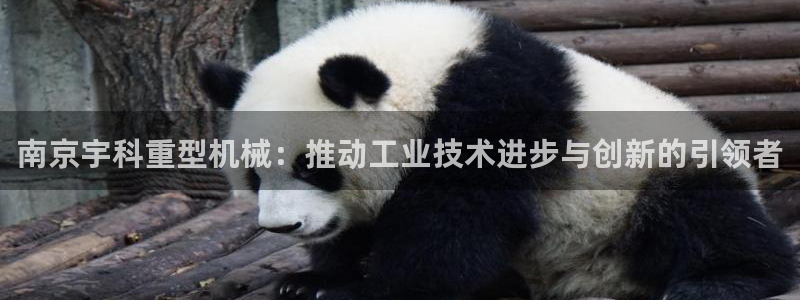 龙八国际官方网址
