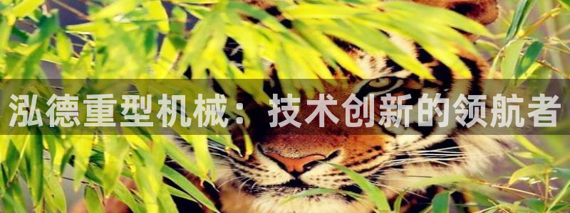 龙八国际不支持苹果手机
