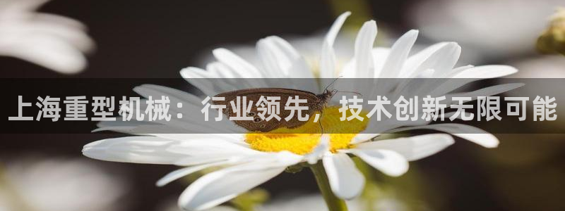 龙八国际pt客户端