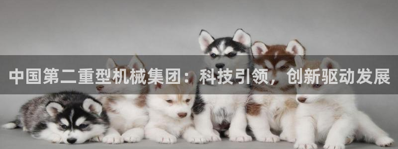 龙八国际平台首页