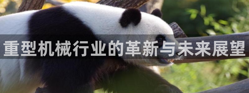 龙八国际娱乐平台网站