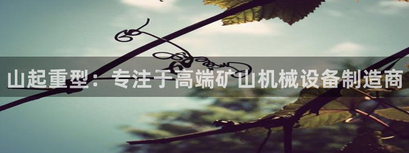 正规龙八国际娱乐