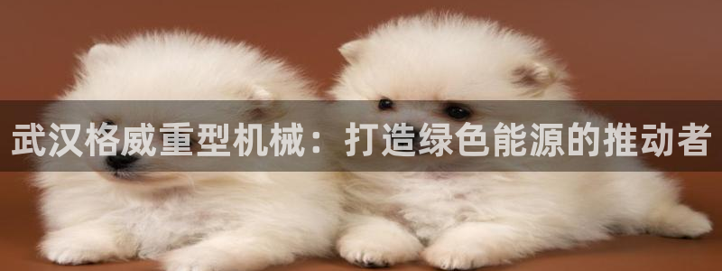 龙八国际b48点tv
