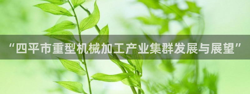 龙八国际官方下载
