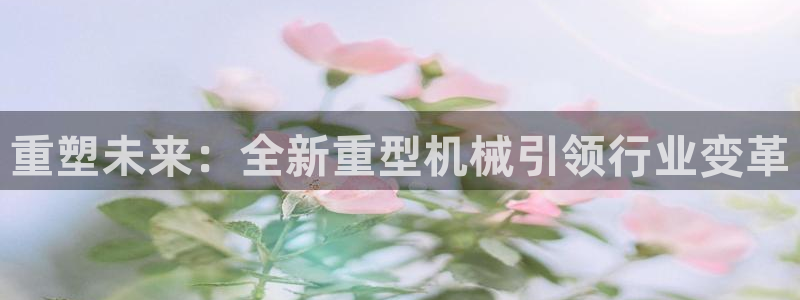 龙八国际娱乐 pt