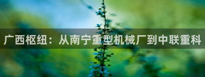 龙八国际app是什么