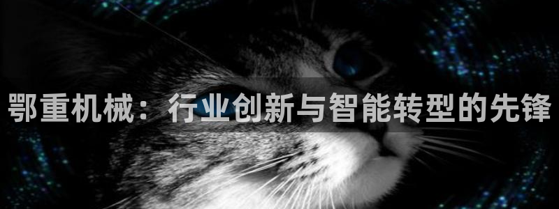 龙八国际q18 tv