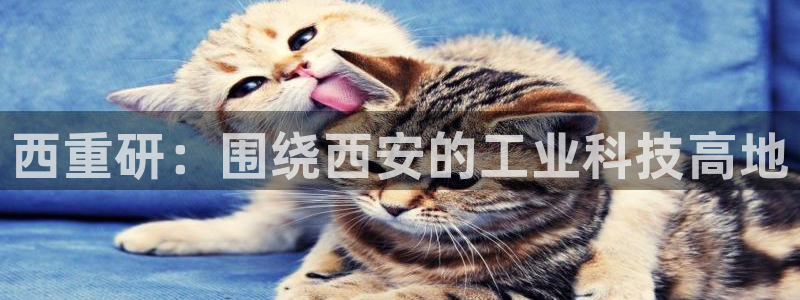 龙八国际提现待审核