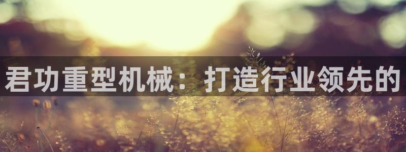 龙八国际手游