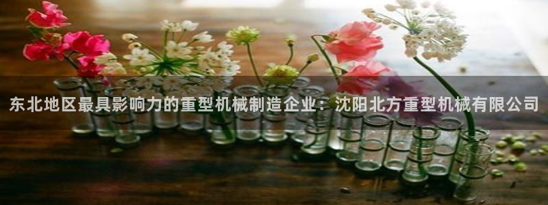 龙八国际棋牌
