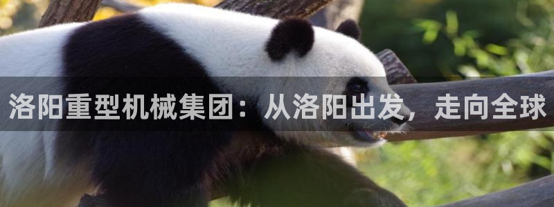 下载龙八国际游戏