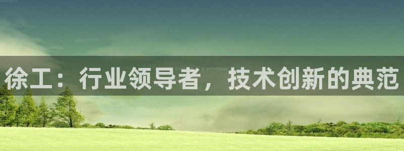 龙八国际Pt老虎机