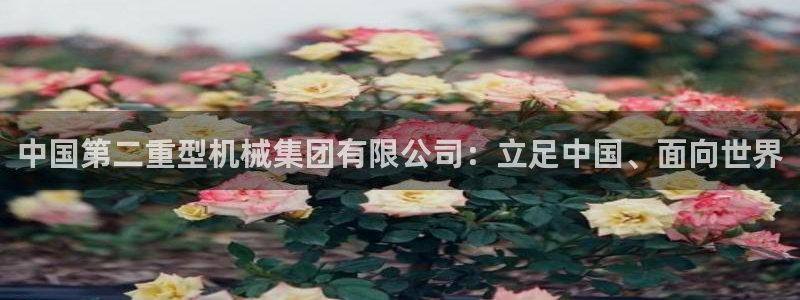 龙八国际网页