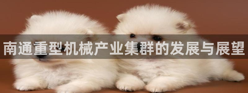 龙八国际手机下载地址