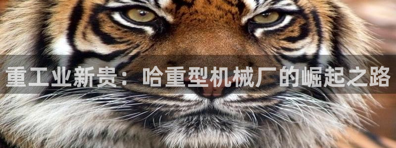 下载龙八国际游戏