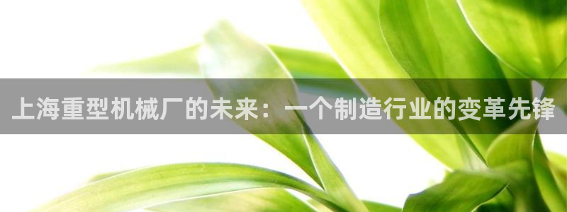 龙八国际手机版官方版app下载