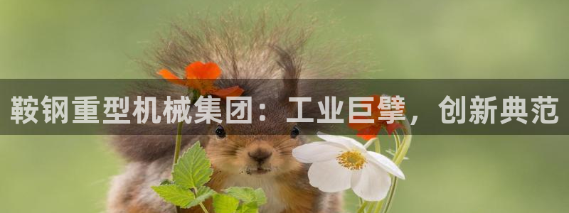 龙八国际有限责任公司
