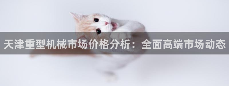 龙八国际游戏维护时间